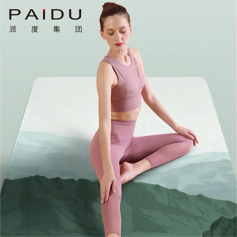 Paidu Manufacturer High Quality 6mm Wholesale Tpe Printing Yoga Mat For Exercise Manufacturer | Paidu