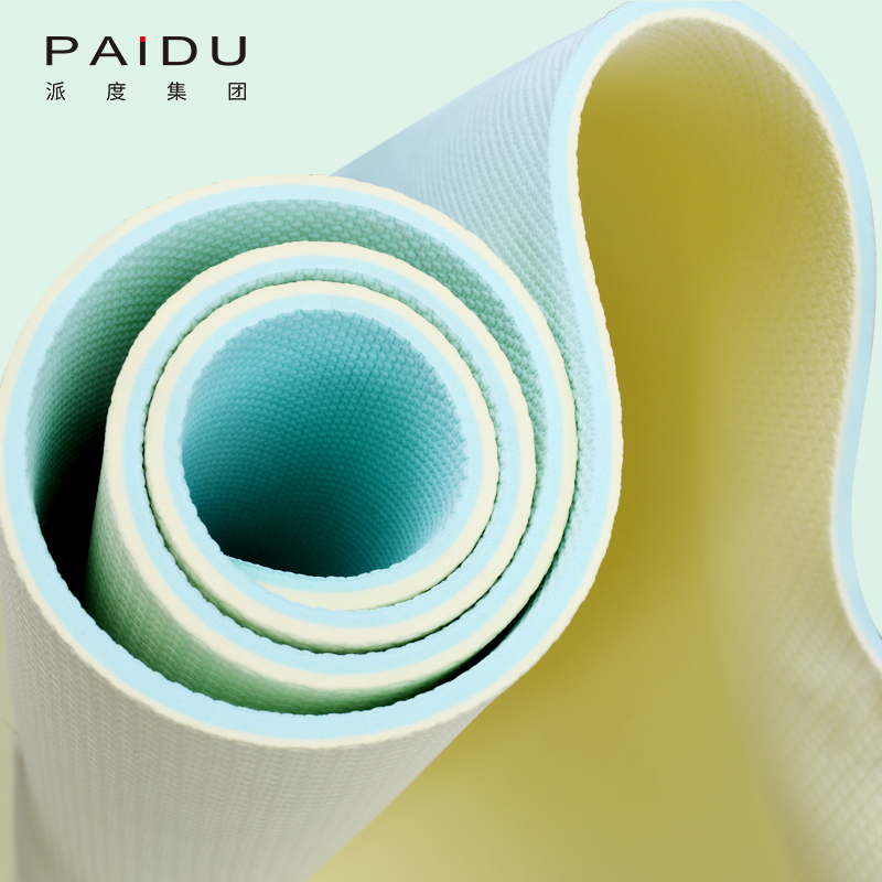 Customized Quality High Elastic Tpe Double Color 6Mm Yoga Mat Manufacturers - Paidu Supplier